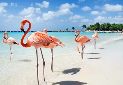 Aruba